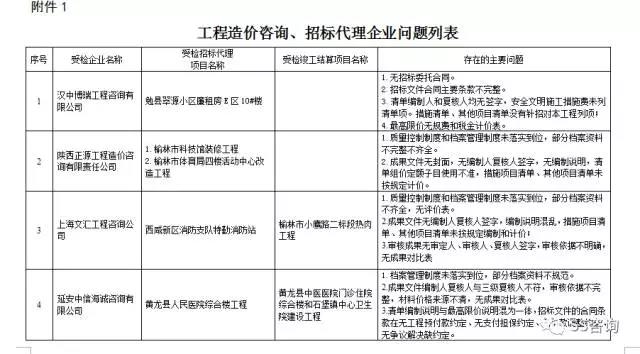 工程造價咨詢、招標代理企業(yè)問題列表