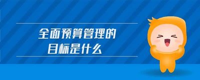 全面預(yù)算管理的目的是什么？